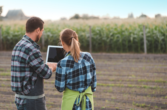 foto ingeniero trabajando en campo de cultivo