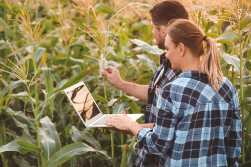 foto ingeniero agrícolas trabajando