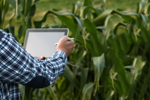 foto ingeniero agrícolas trabajando